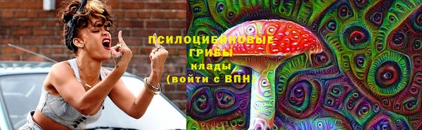 дурь Нягань