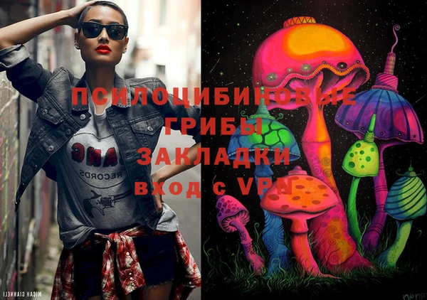 дурь Нягань