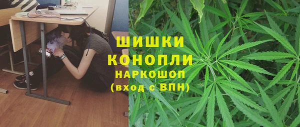 дурь Нягань