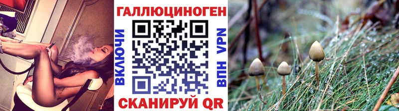 Псилоцибиновые грибы Cubensis  Ейск 