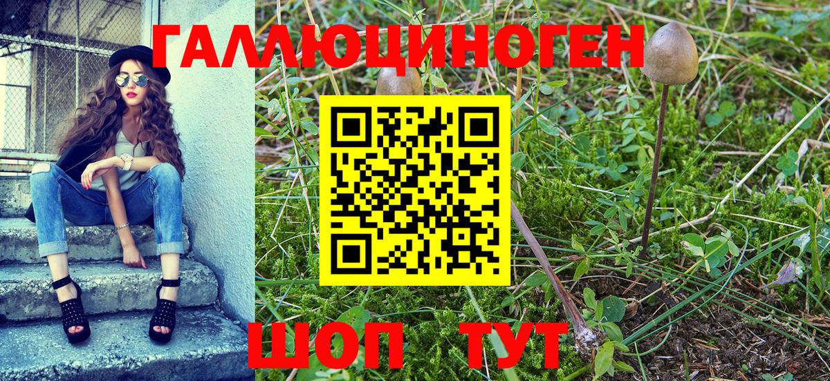 Псилоцибиновые грибы Magic Shrooms  Ейск 