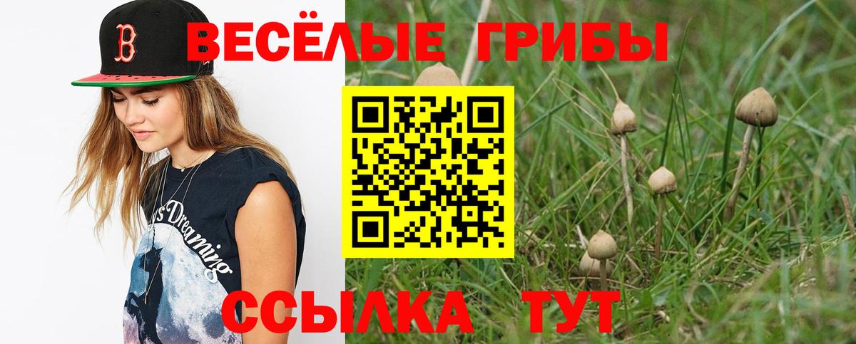 Галлюциногенные грибы MAGIC MUSHROOMS Ейск