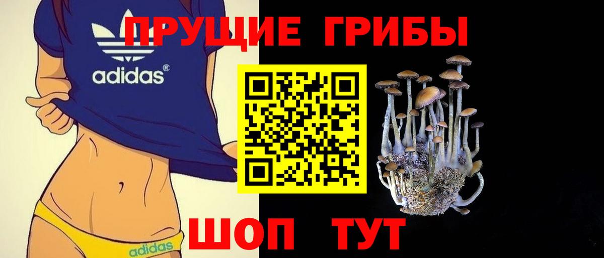 продажа наркотиков  Псилоцибиновые грибы Cubensis  Ейск  Вход с VPN  Псилоцибиновые грибы GOLDEN TEACHER 