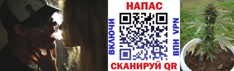 хочу Ейск Каннабис SATIVA & INDICA